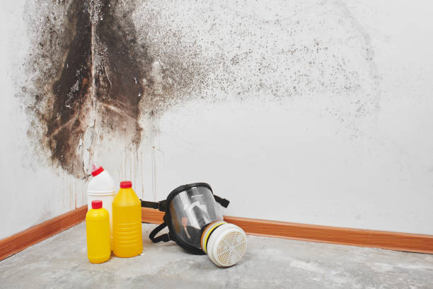 Best HVAC Mold Remediation in Perry, OK