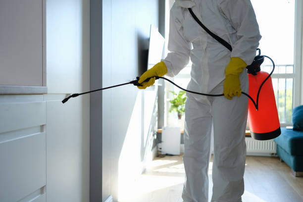 Best Emergency Mold Remediation in Perry, OK